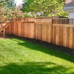 Cedar Park wood fence installation by Texan Handyman Services